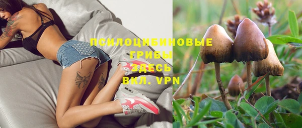 скорость mdpv Белокуриха