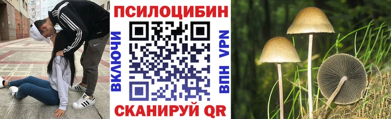 сколько стоит  Воскресенск  Псилоцибиновые грибы мицелий 